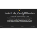 Namibia Oil & Gas AI Tutor for ESG – Monly  Access